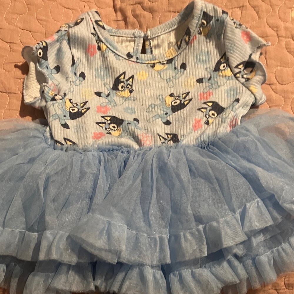 Blue Tulle Baby Dress with Bluey Print